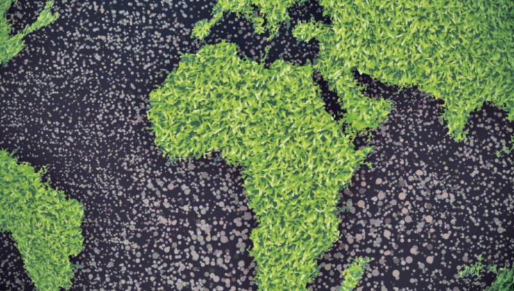 Yeşil finansmanda 3,5 trilyon TL hedefi