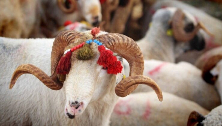 Kurban Bayramı ne zaman? 2026 Kurban Bayramı tatili 9 gün olacak mı, kaç gün?