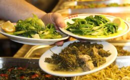 Ege otları görkemli bir vedaya hazırlanıyor