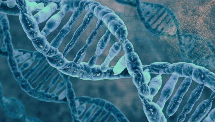 Kanserli köpeğe yapay zekayla üretilen aşıdan, yaşamın yapı taşlarına mart ayındaki bilimsel gelişmeler