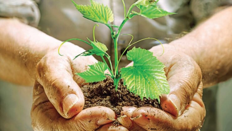 Prof. Dr. Süleyman Soylu: Yüksek maliyetler sözleşmeli tarıma yönlendiriyor