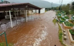 Hatay'da çoban kuzuları sele kapılmaktan son anda kurtardı