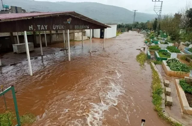 Hatay'da çoban kuzuları sele kapılmaktan son anda kurtardı