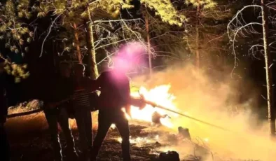 Hatay'da korkutan orman yangını