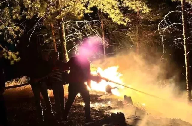 Hatay'da korkutan orman yangını