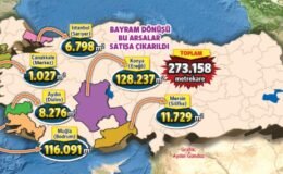 İktidar ormanı ‘çalılık’ diyerek satışa çıkardı
