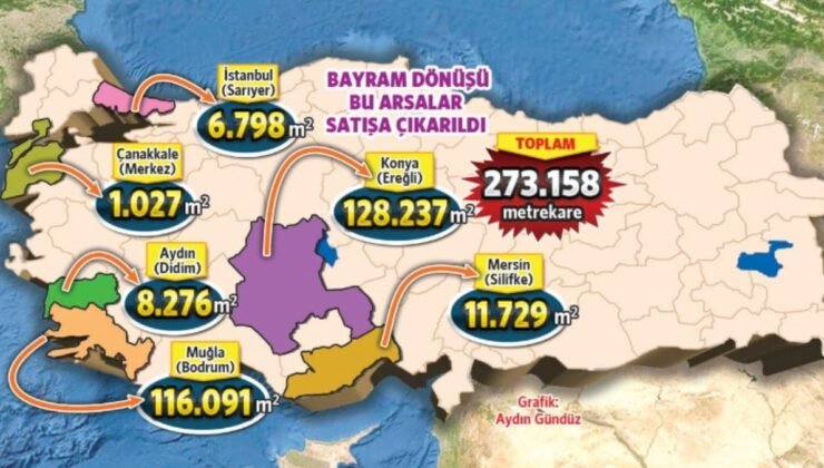 İktidar ormanı ‘çalılık’ diyerek satışa çıkardı