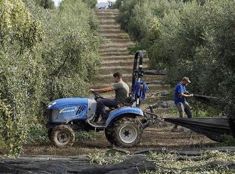 İspanya, çatışmaların etkilerine tedbir olarak tarım ve hayvancılığı destekleyecek