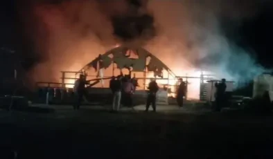 Kanatlı ve küçükbaş hayvan çiftliğinde yangın: 580 hayvan öldü