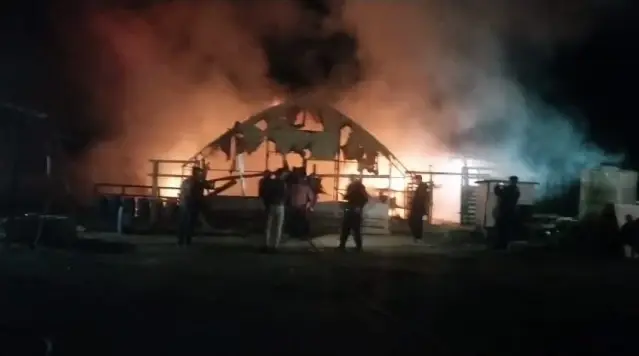 Kanatlı ve küçükbaş hayvan çiftliğinde yangın: 580 hayvan öldü