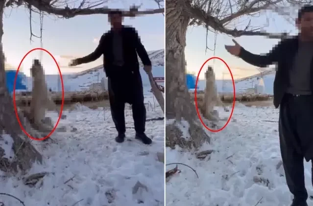 Çok yediğini iddia ettiği köpeğini ağaca asıp öldürdü
