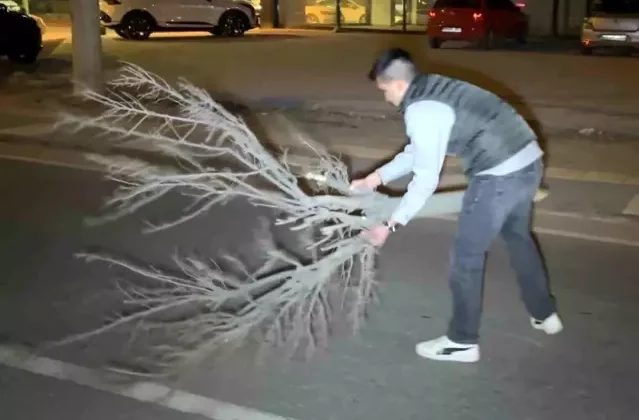 Cam ve plastik parçalarıyla dolan yolu kırılan ağaçla temizledi