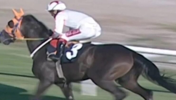 Kesilen yarış atı hala TJK’da “yaşıyor” görünüyor