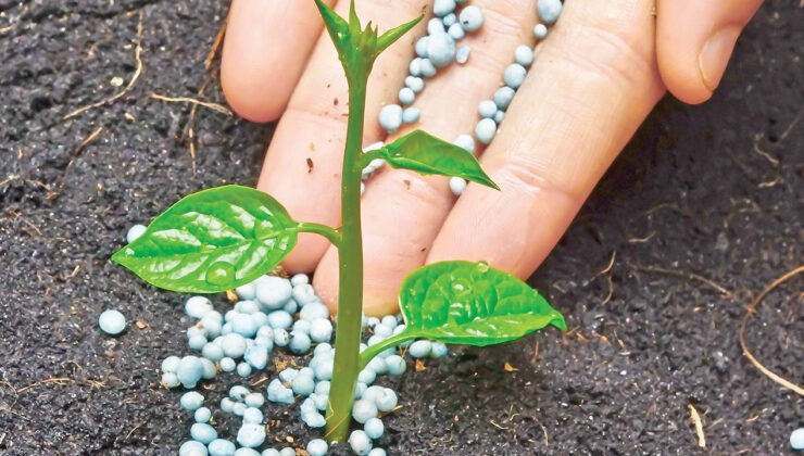 Küresel gübre arzı tehlike altına girdi