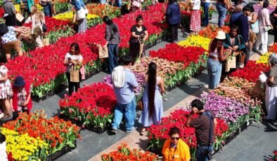 ABD’de "lale günü". Binlerce çiçek ücretsiz dağıtıldı