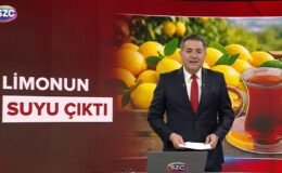 Limona 2 yılda yüzde 9900 zam!