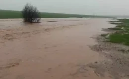 Mardin'de sağanak yağış sonrası evleri su bastı, tarlalar zarar gördü