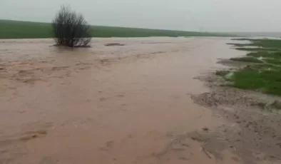 Mardin'de sağanak yağış sonrası evleri su bastı, tarlalar zarar gördü