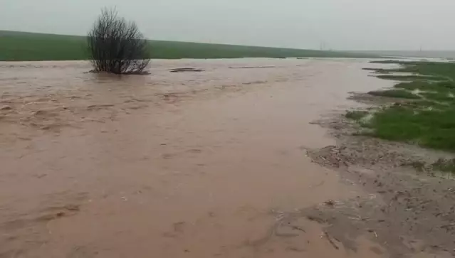 Mardin'de sağanak yağış sonrası evleri su bastı, tarlalar zarar gördü