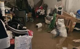 Mardin'de şiddetli yağış felakete yol açtı! Araçlar sürüklendi, hayvanlar telef oldu