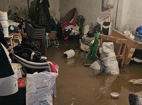 Mardin'de şiddetli yağış felakete yol açtı! Araçlar sürüklendi, hayvanlar telef oldu