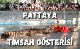 Pattaya Fil Safari Turu & Timsah Gösterisi – Tayland’da Unutulmaz Bir Gün! – Pattaya Thailand