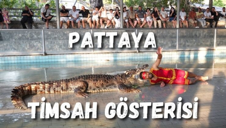 Pattaya Fil Safari Turu & Timsah Gösterisi – Tayland’da Unutulmaz Bir Gün! – Pattaya Thailand
