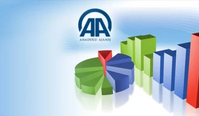 Ödemeler Dengesi Beklenti Anketi sonuçlandı