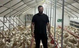Otomobilini satıp hayali olan tavuk çiftliğini kurdu