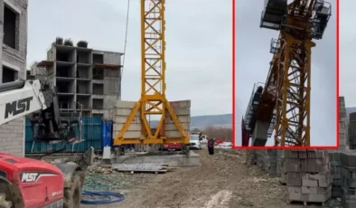 Vincin tepesine bakan hemen polisi aradı