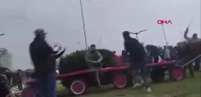 Sahibinin, koşmadığı için dövdüğü at bayıldı