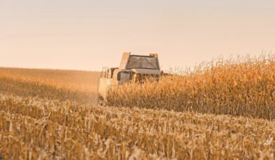 “Enerji şoku ve tarımdaki erime Türkiye’yi zorluyor”