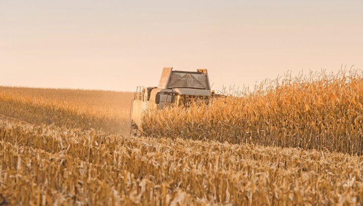 “Enerji şoku ve tarımdaki erime Türkiye’yi zorluyor”