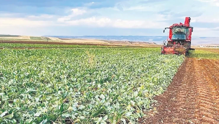 Türkiye’nin arz güvenliğinde sorun yok