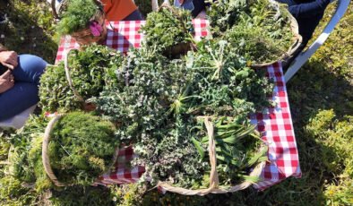 Urla Ot Bayramı 28-29 Mart’ta gerçekleşecek