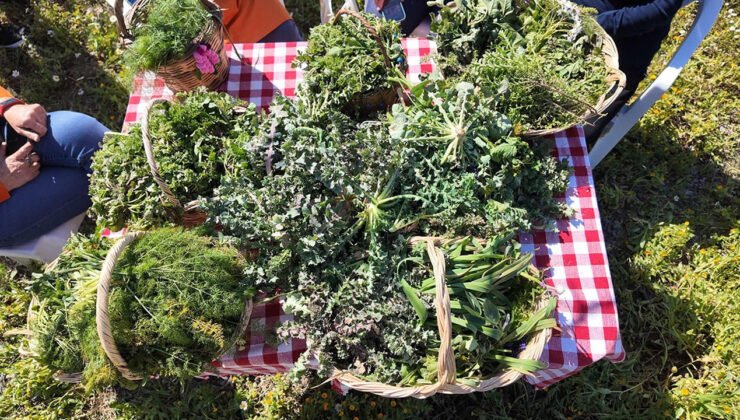 Urla Ot Bayramı 28-29 Mart’ta gerçekleşecek