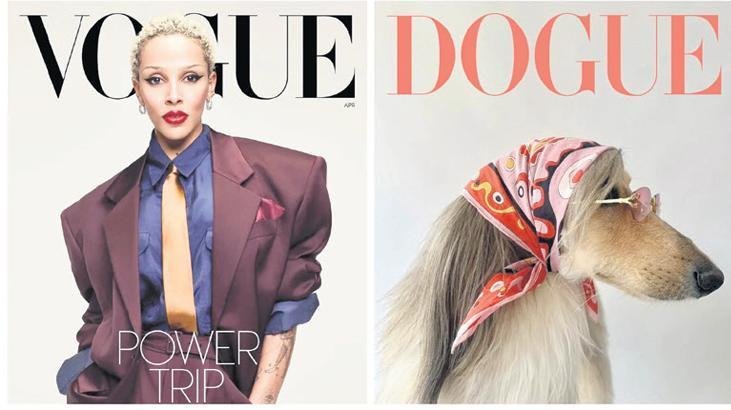 Vogue’dan Dogue davası