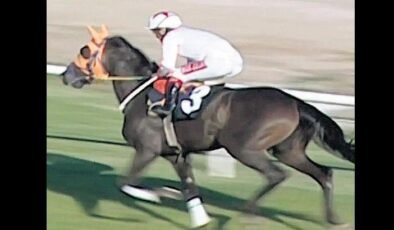 Yarış atından kavurma!