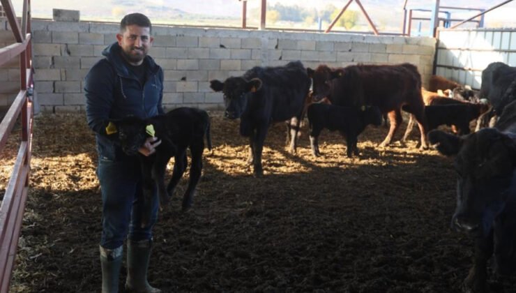 Deprem sonrası sıfırdan başladı! 3 ayda yaptıkları görenleri hayrete düşürdü