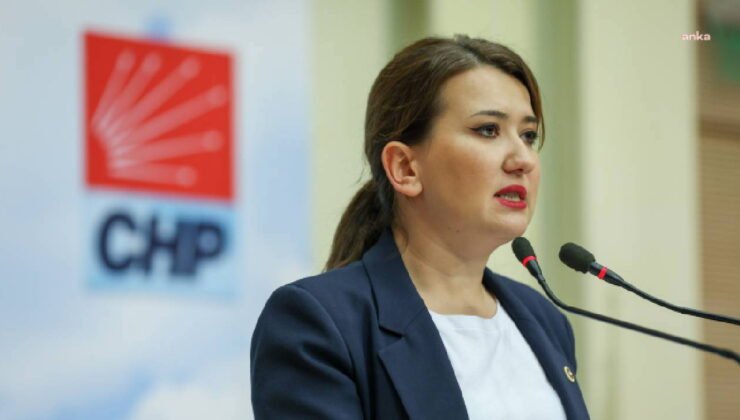 CHP'li Gökçen'den AKP'ye 'ara seçim' çıkışı: Madem Erdoğan ara seçimle seçilmedi…