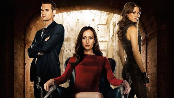 Nikita filminin konusu ne? Nikita filminin oyuncuları kim?