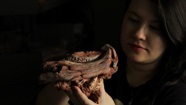 230 milyon yaşında. Brezilya’da papağan gagalı sürüngen bulundu