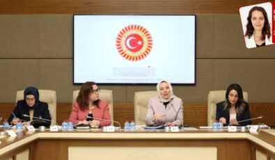 KDK, Meclis’te kadın cinayetleriyle ilgili raporunu paylaştı: Cinayet silahlarının yüzde 84 ruhsatsız