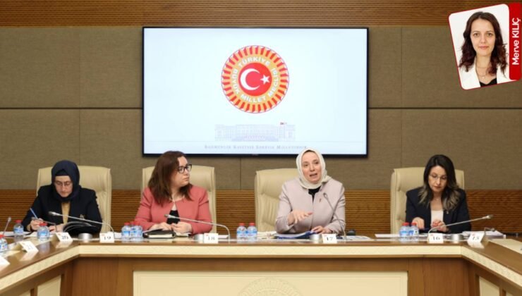 KDK, Meclis’te kadın cinayetleriyle ilgili raporunu paylaştı: Cinayet silahlarının yüzde 84 ruhsatsız