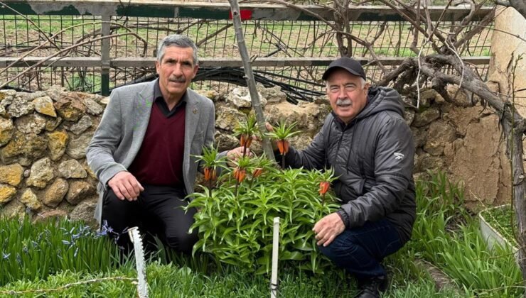 Gözleri gibi koruyorlar! Dokunması bile yasak: Koparmanın cezası 700 bin TL!