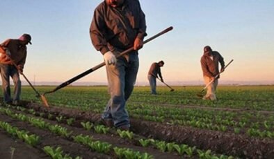 Tarım arazilerinin korunması ve kullanılmasına ilişkin esaslar düzenlendi