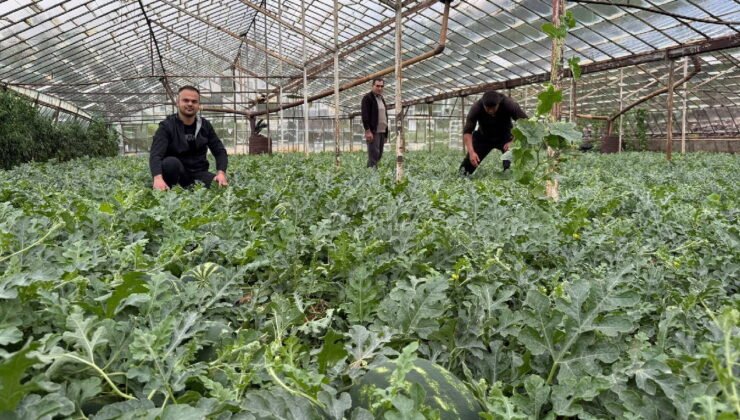 Antalya’da ezber bozan hasat: Yaz gelmeden tezgaha indi!