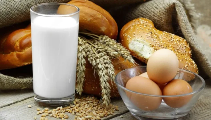 TÜİK verilerinde hayvansal üretim alarmı: Yıllık artış yerini aylık bazda düşüşe bıraktı