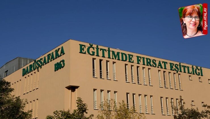 Beş Osmanlı aydını tarafından kurulan Darüşşafaka Cemiyeti 163 yaşında: ‘Öykümüz ortak’