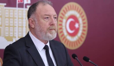 DEM Partili Sezai Temelli 'yasal düzenleme' çağrısı: 'Bir an önce hayata geçmesi zaruri'